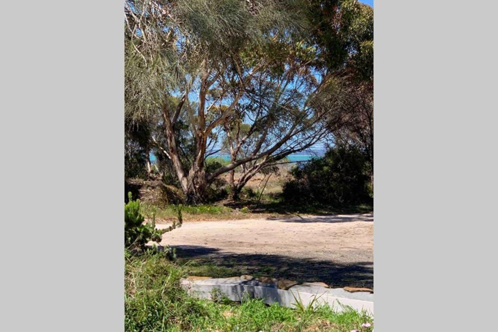 Leeward 'Tranquil Beachfront' Kingscote Eksteriør billede